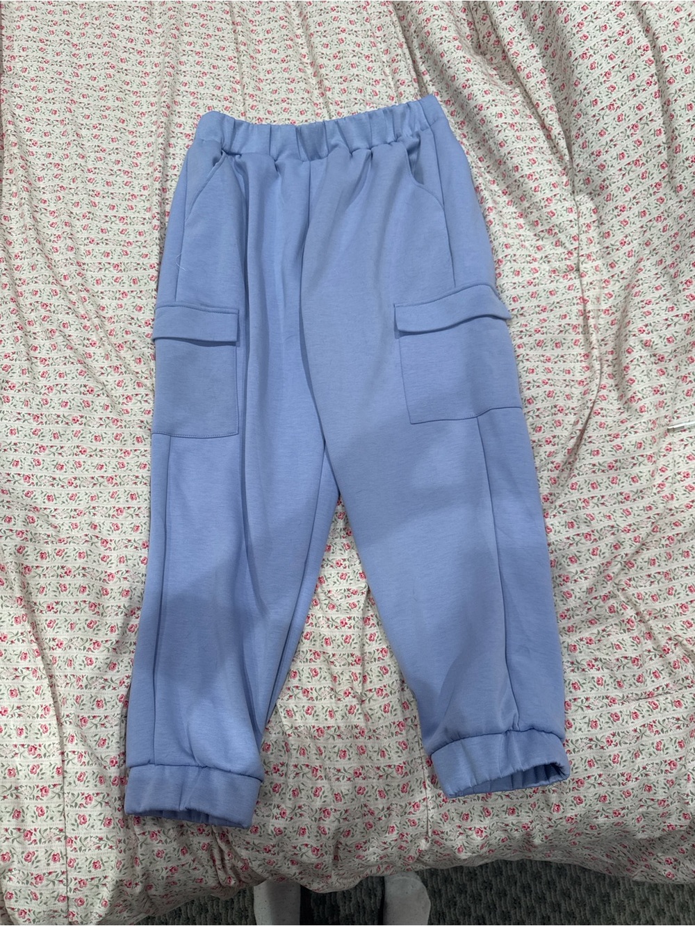 Express Lavender Cargo Jogger Pants - Light Purple